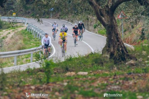 ULTRALIGHT Białystok rowery na zamówienie, serwis, obozy rowerowe